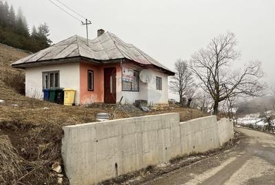 Casă cu 1 camere cu Teren 3808 Mp în Fundata - 7