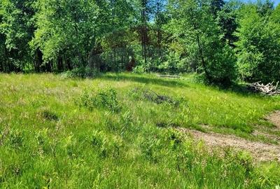 Teren agricol extravilan de 6725 mp, în Hoteni - 3