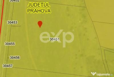 Teren în Central
