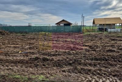 Teren aproape de Bucuresti langa padure intre case - 3