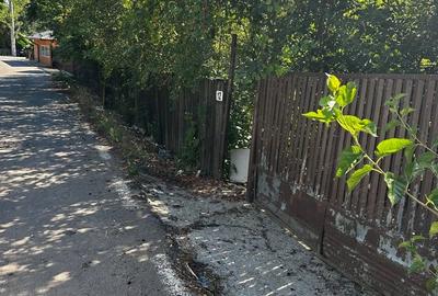 Casă cu 3 camere în Naipu - 4