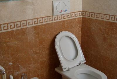 Vind  CASA  FAMILIARA sau cu destinatie PENSIUNE  cu 5 camere  5 bai - 4