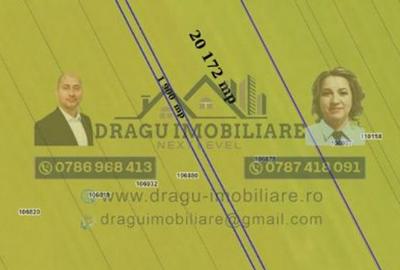 Teren agricol Munteni/Galati / 7.5 ha - 3
