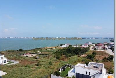 Anunturi vanzari terenuri in Palazu Mare - 5