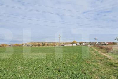 Teren in Razvad intravilan 1400mp cu acces la curent electri - 2