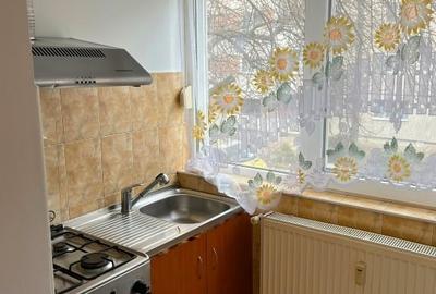 Apartament 2 camere, confortabil, bloc izolat / Sagului - 3