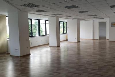 Zona Nord - Mogosoaia - Buftea - 2