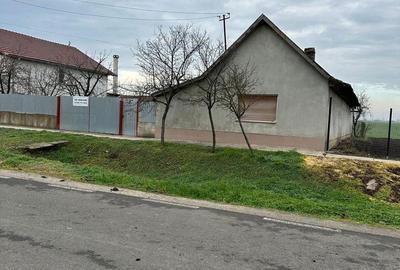 Casa de vanzare Variasu Mare- pret redus- 36.500 euro - 4