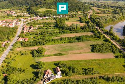 Teren agricol intravilan de 5202 mp, în Căpruța - 4