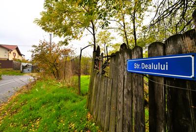 Vanzare teren de COLT 682mp Balta Lilieci Sat Lilieci Sinesti Ialomita - 14