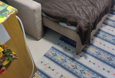 Garsonieră nedecomandată în Dosu Bricii