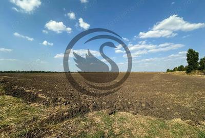 Teren extravilan de vanzare | 9882mp | Berceni - Prahova | Comision 0% - 4