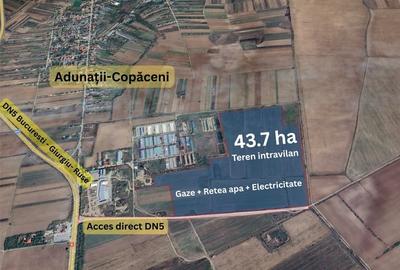 Teren intravilan 43,7 ha cu deschidere la DN5 – utilități, PUZ aprobat, ideal pe