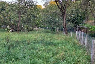 Casă cu 3 camere în Moldovenești - 3