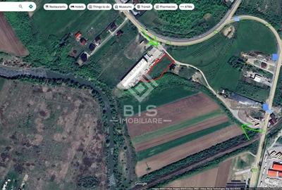 Teren de 2500 mp, în Viișoara - 4