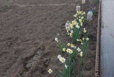 Spațiu comercial, în Năvodari - 2