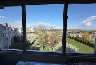 Apartament cu 2 camere decomandat în Mioriței - 8
