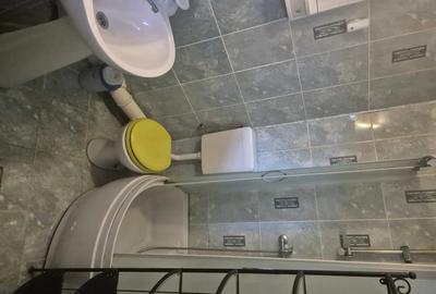 Apartament cu 2 camere semidecomandat, mobilat în Parcul Carol - 4
