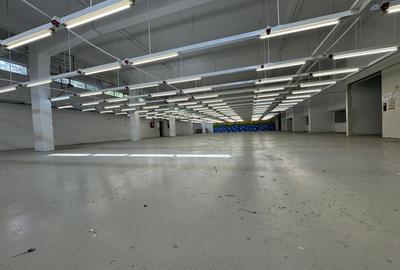 Hala productie P+1 si apartament de serviciu Navodari - c-tie beton - 4