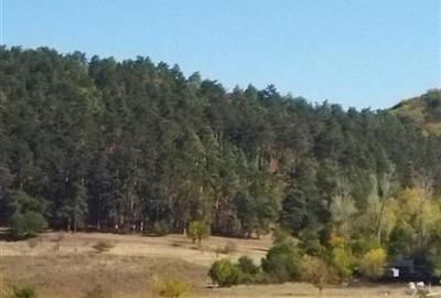 Teren Sanpetru 900mp Lempes - 4