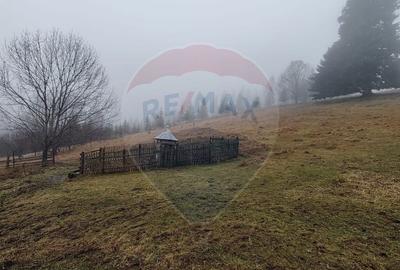 Teren de 26232 mp, în Dorna-Arini - 5