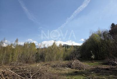 Teren Construcții intravilan de 4900 mp, în Viștea - 6