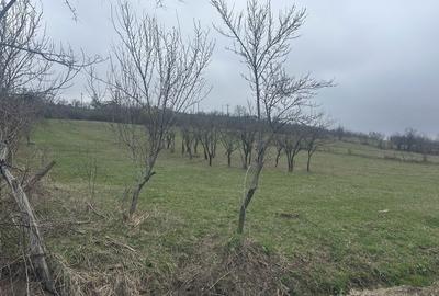 Spațiu comercial, în Ocnița - 2