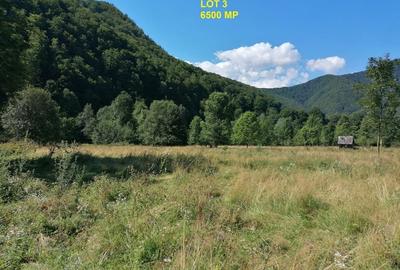 Teren în Malaia - 6