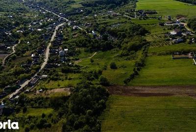 Teren de 6202 mp, în Bucovăț - 3