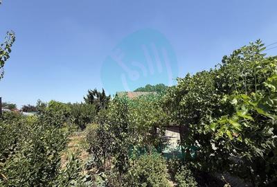 Casă parter + 1100 mp teren în Popești-Leordeni - 7