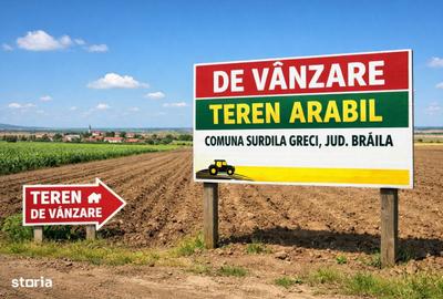 Teren de 50000 mp, în Surdila-Greci - 1