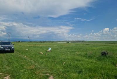 Teren extravilan, str. Ciocarlau - 3