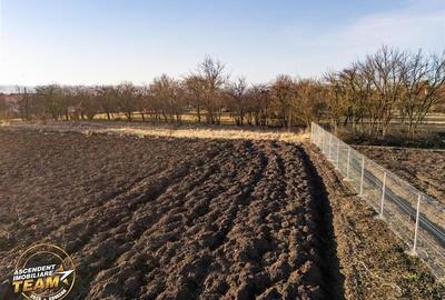 FILM! 4.554 mp intravilan, PUZ: locuinta,afacere,productie,satul Marcusa, deschi - 6