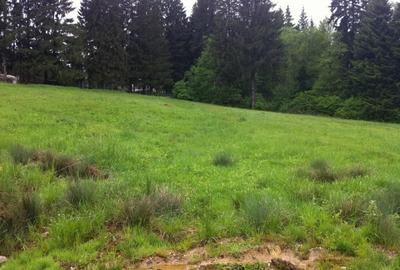 Teren intravilan Cotul Donului,pretabil Hotel/pensiune. - 17