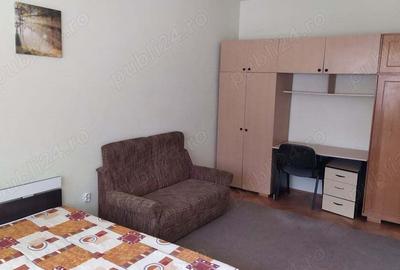 Apartament 1 camera Gruia - 3