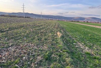 Spațiu comercial, în Orlat - 5