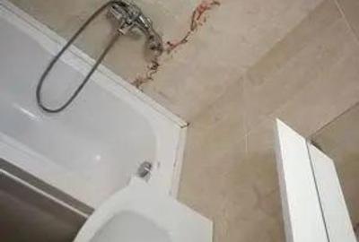 Garsonieră decomandată în Girocului