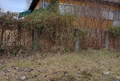 Casa 100 mp la Rapa de Jos, Jud. Mures - 8