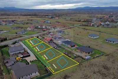 Teren de vanzare cu proiect de casa si piscina Sacalaseni - 4