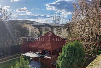 Casă cu 3 camere în Turea - 7