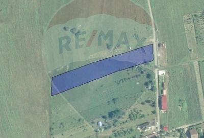 Teren intravilan de vanzare 2.307 mp - Salicea, comuna Ciurila - 4