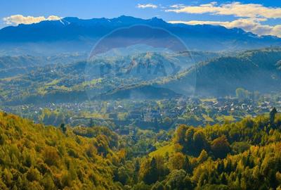 COMISION 0% Teren 11,381 mp Moieciu de Jos / Oportunitate unica - 16