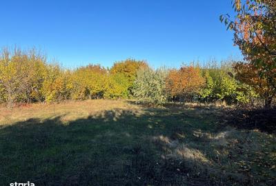 Spațiu comercial, în Horlești - 2