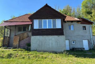 Casă cu 2 camere cu Teren 2650 Mp în Căinelu de Sus - 8