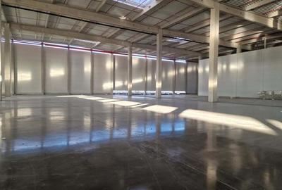 Spatiu industrial - 1