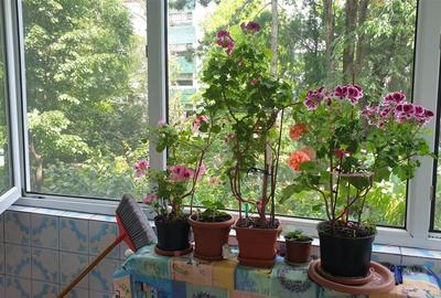 Apartament cu 2 camere semidecomandat în Hipodrom - 12