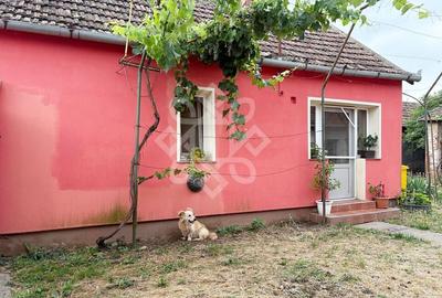 Casa de vanzare la 22 km de Oradea, Santaul Mare, Bihor - 17
