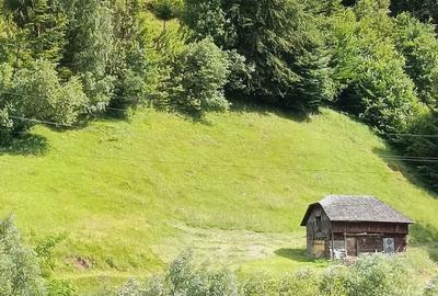 Teren de 3900 mp, în Podu Dâmboviței - 2