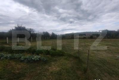 Casă cu 3 camere cu Teren 2508 Mp în Central - 2