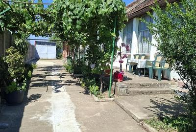 Casă cu 3 camere cu Teren 836 Mp în Giarmata - 2